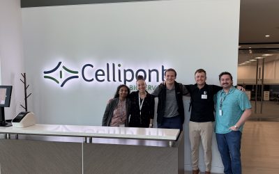 Designing Cell Therapy Manufacturing for a New Regulatory Era