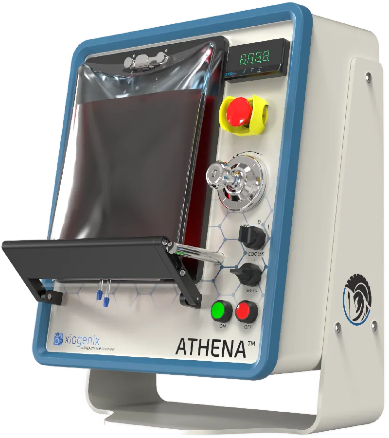 athena