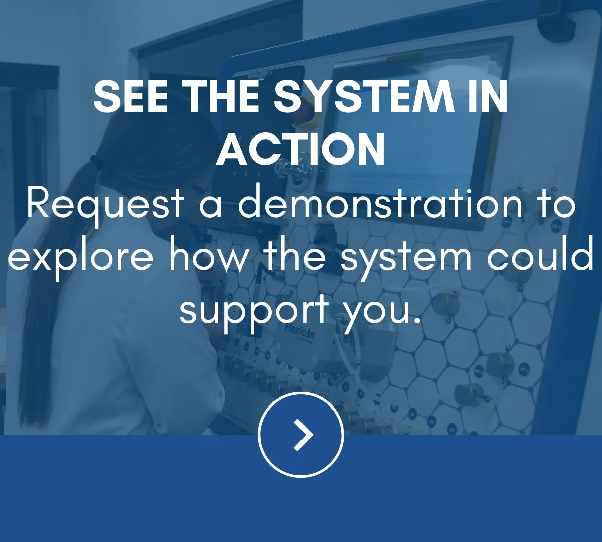 system in action system in action